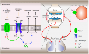 2025-08-18_100600_071